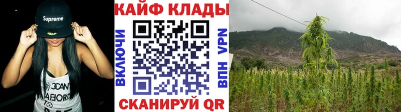 Сколько стоит Теберда Каннабис  Alpha PVP  omg ONION  ГАШ  ЭКСТАЗИ 