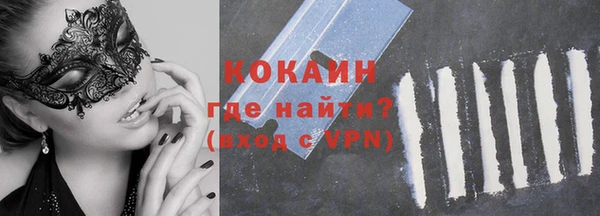 гашик Аркадак