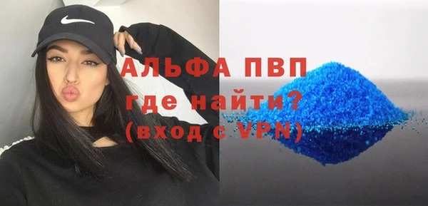 гашик Аркадак