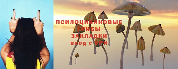 гашик Аркадак