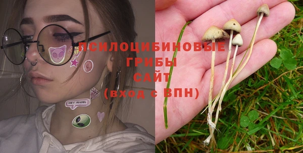 ECSTASY Армянск