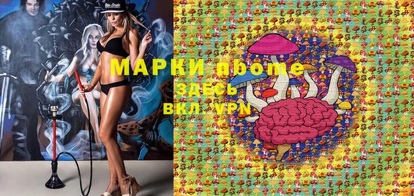 гашик Аркадак